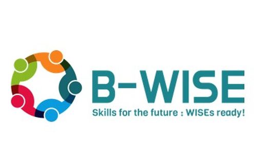 Un nuovo rapporto rivela i profili professionali per lo sviluppo di capacità nel settore delle WISEs