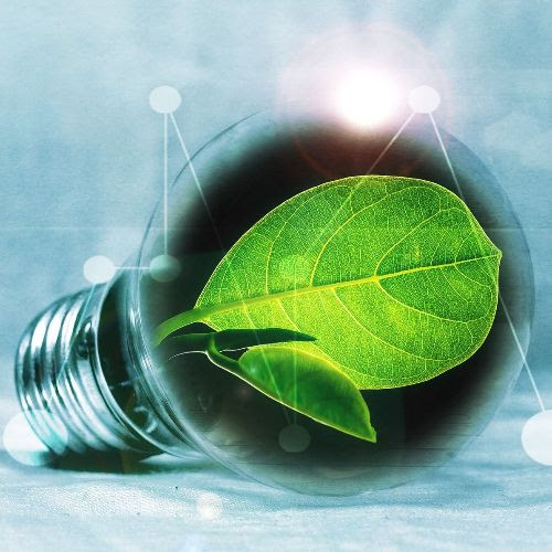 Transizione digitale ed ecologica nelle cooperative di produzione