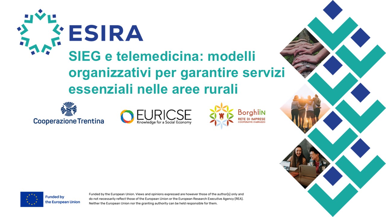 SIEG e telemedicina: modelli per garantire servizi essenziali nelle aree rurali e interne